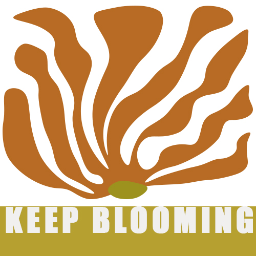 Keep Blooming